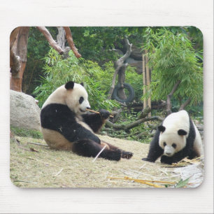 Großer Panda Mousepad