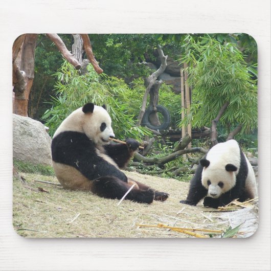 Großer Panda Mousepad (Vorne)