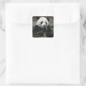 Großer Panda Quadratischer Aufkleber (Tasche)