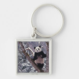 Großer Panda steht auf einem Baum, Wolong, Sichuan Schlüsselanhänger