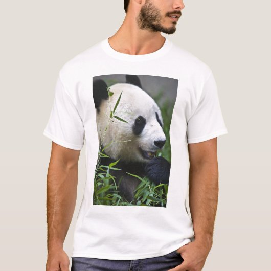 Großer Panda T-Shirt (Vorderseite)