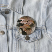 Großer Pilzknopf Button (Beispiel)