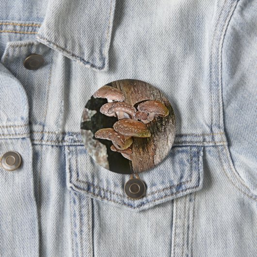 Großer Pilzknopf Button (Beispiel)