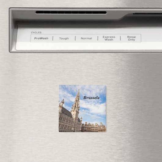 Großer Platz in Brüssel Magnet (In Situ (Geschirrspüler))