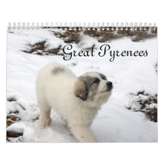 Großer Pyrenäen-Welpen-Kalender Kalender