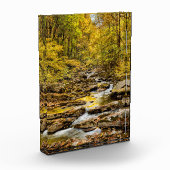 Grosser, rauchiger Nationalpark. Big Creek Fotoblock (Links)