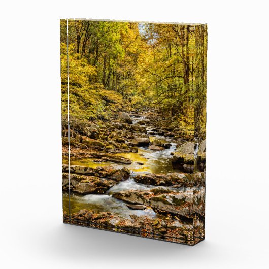 Grosser, rauchiger Nationalpark. Big Creek Fotoblock (Rechts)