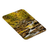 Grosser, rauchiger Nationalpark. Big Creek Magnet (Rechte Seite)