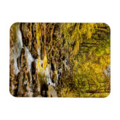 Grosser, rauchiger Nationalpark. Big Creek Magnet (Horizontal)