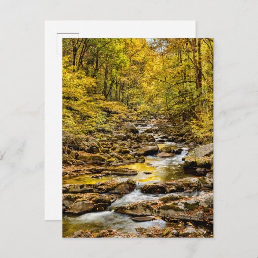 Grosser, rauchiger Nationalpark. Big Creek Postkarte (Vorne/Hinten)