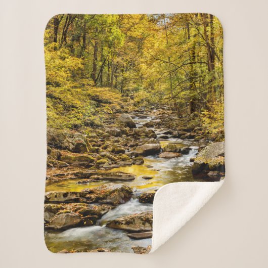 Grosser, rauchiger Nationalpark. Big Creek Sherpadecke (Vorderseite)