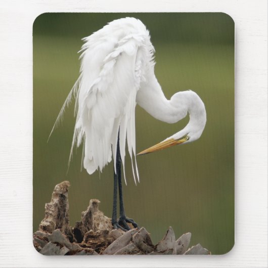 Großer Reiher Mousepad (Vorne)