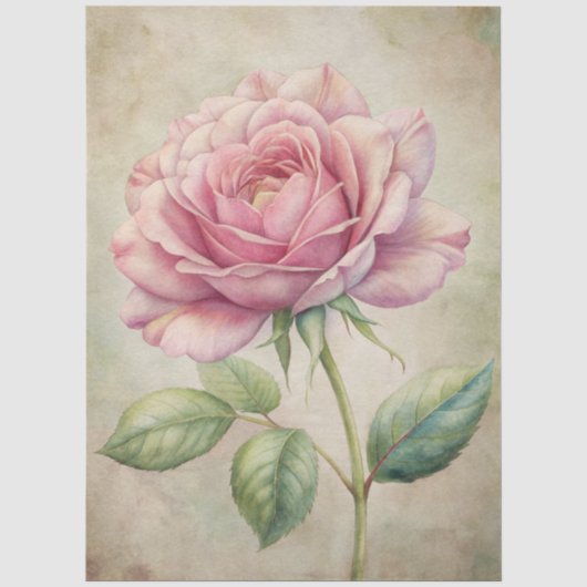 Grosser Rosa Rose Ephemera Decoupage Seidenpapier (Vorderseite)