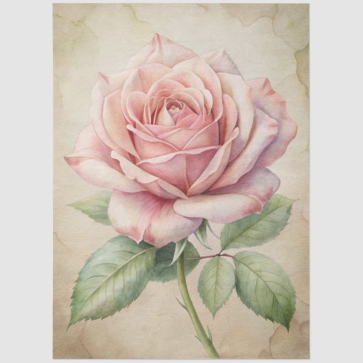 Grosser Rosa Rose Ephemera Decoupage Seidenpapier (Vorderseite)