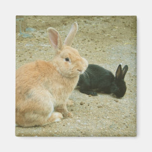Großer Roter Hase Magnet