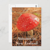 Grosser, roter Hocker, Herbst in Neuseeland Postkarte (Vorne/Hinten)