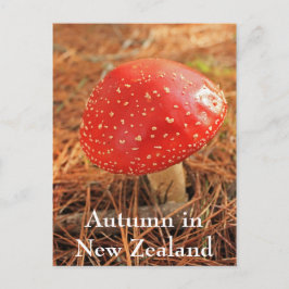 Grosser, roter Hocker, Herbst in Neuseeland Postkarte