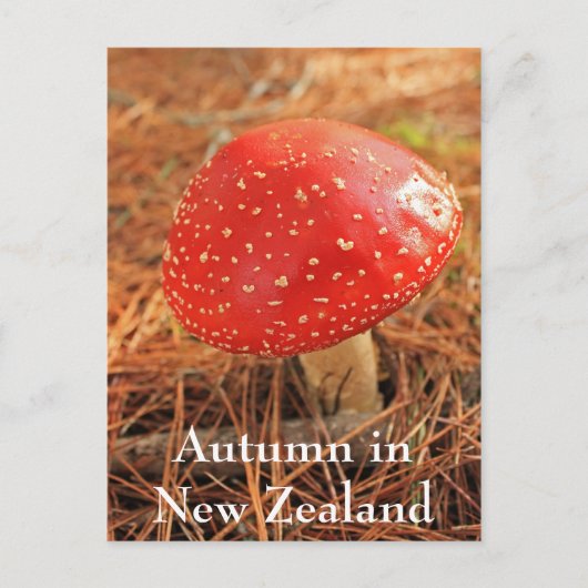 Grosser, roter Hocker, Herbst in Neuseeland Postkarte (Vorderseite)