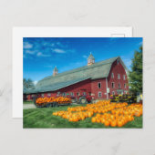 Grosser roter Vermont-Stall mit Pumpkins Postkarte (Vorne/Hinten)