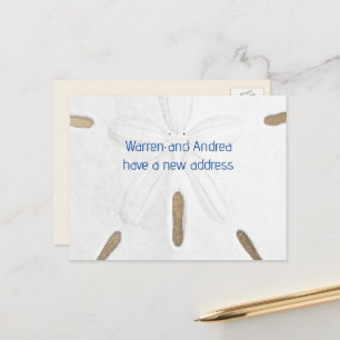 Großer Sand-Dollar zieht an den Strand Grußkarte Ankündigungspostkarte