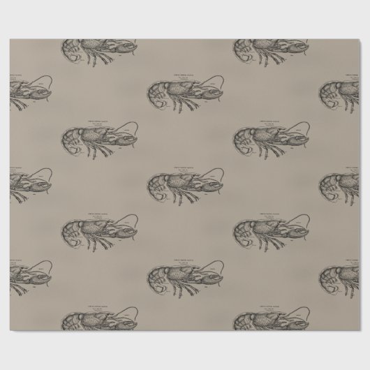 Großer Sandy-Hummer Geschenkpapier (Flach)