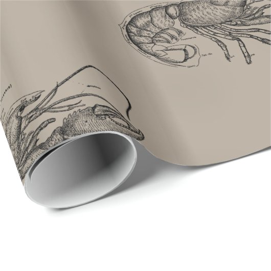 Großer Sandy-Hummer Geschenkpapier (Rolleneckpunkt)