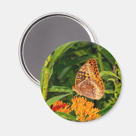 Großer Schmetterling Magnet (Vorderseite/Rückseite)