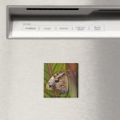 Großer Schmetterling (Opsiphanes tamarindi) Magnet (In Situ (Geschirrspüler))