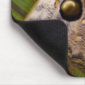 Großer Schmetterling (Opsiphanes tamarindi) Mousepad (Ecke)