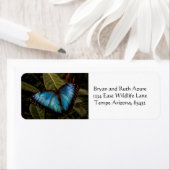 Großer, schöner, blauer Schmetterling (Insitu)