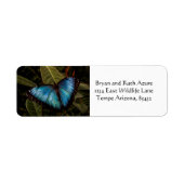 Großer, schöner, blauer Schmetterling (Vorne)