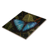 Großer, schöner, blauer Schmetterling Fliese (Seite)