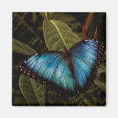 Großer, schöner, blauer Schmetterling Magnet (Vorne)