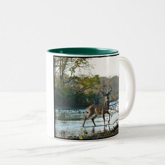 Großer schöner Dollar II Zweifarbige Tasse (VorderseiteRechts)