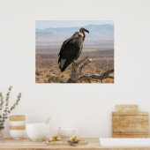 Großer schöner Vogel Poster (Küche)