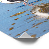 Großer schwarzhaltiger Gulli im Wasser Poster (Ecke)