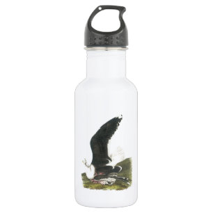 Großer schwarzhaltiger Gullus von Audubon Trinkflasche