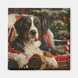 Großer Schweizer Sennenhund Weihnachtsfestlich Magnet