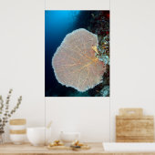 Großer Seefan in Siquijor Poster (Küche)