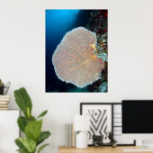 Großer Seefan in Siquijor Poster (Heimbüro)