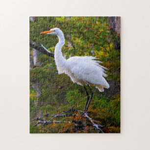 Großer Silberreiher Louisiana. Puzzle
