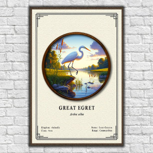 Großer Silberreiher Zoologie-Serie Poster