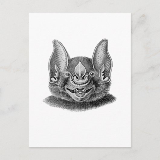 Großer Speernose Postkarte (Vorderseite)