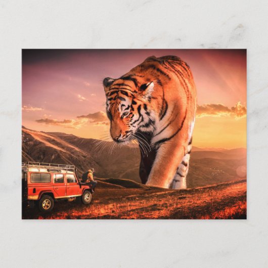 Großer Tiger Postkarte (Vorderseite)