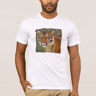 Großer Tiger-T - Shirt! T-Shirt