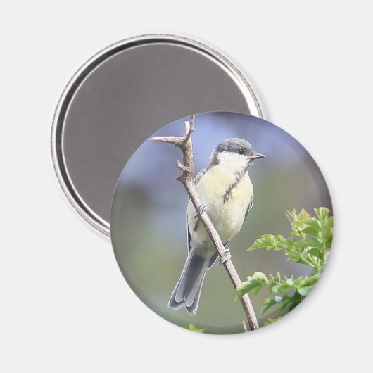 Großer Tittenmagnet Magnet (Vorderseite/Rückseite)