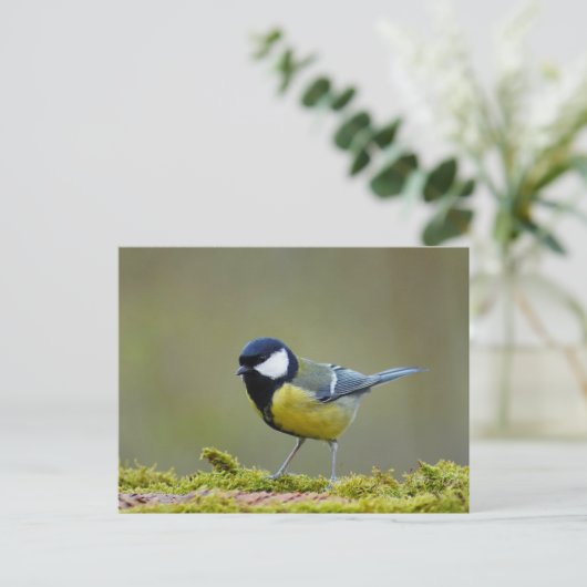 Großer Tittenvogel Postkarte (Stehend Vorderseite)