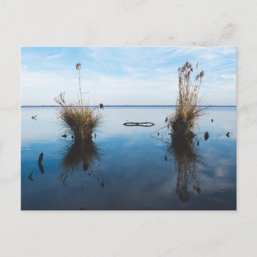 großer trostloser Sumpf Postkarte (Vorderseite)