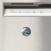Großer Tümmler Magnet (In Situ (Geschirrspüler))
