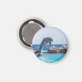 Großer Tümmler Magnet (Vorderseite/Rückseite)